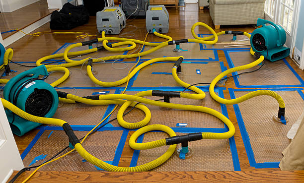 Professional Sewage Cleanup technician working in Hallsville, MO