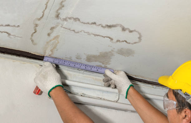 Affordable Water Damage Repair solutions in Hallsville, MO